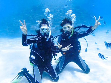 【・．✴︎夏季限定特別特価✴︎．・】ダイビング　スキューバーダイビングセット ダイビング・スキューバダイビング | 屋久島 旅行の観光・オプショナル